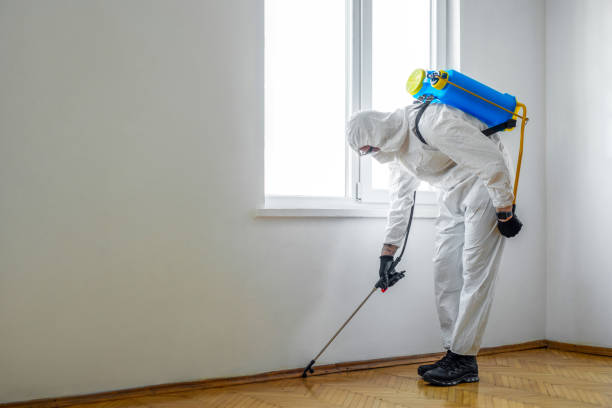 Chama, NM Pest Control Company